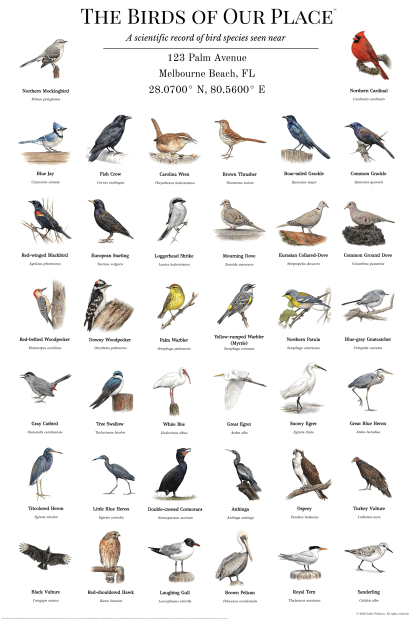 Melbourne Beach Florida bird poster