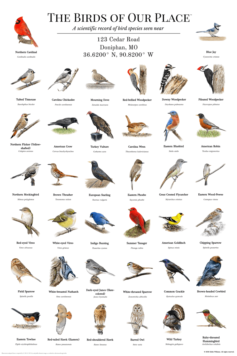 Doniphan Missouri bird print