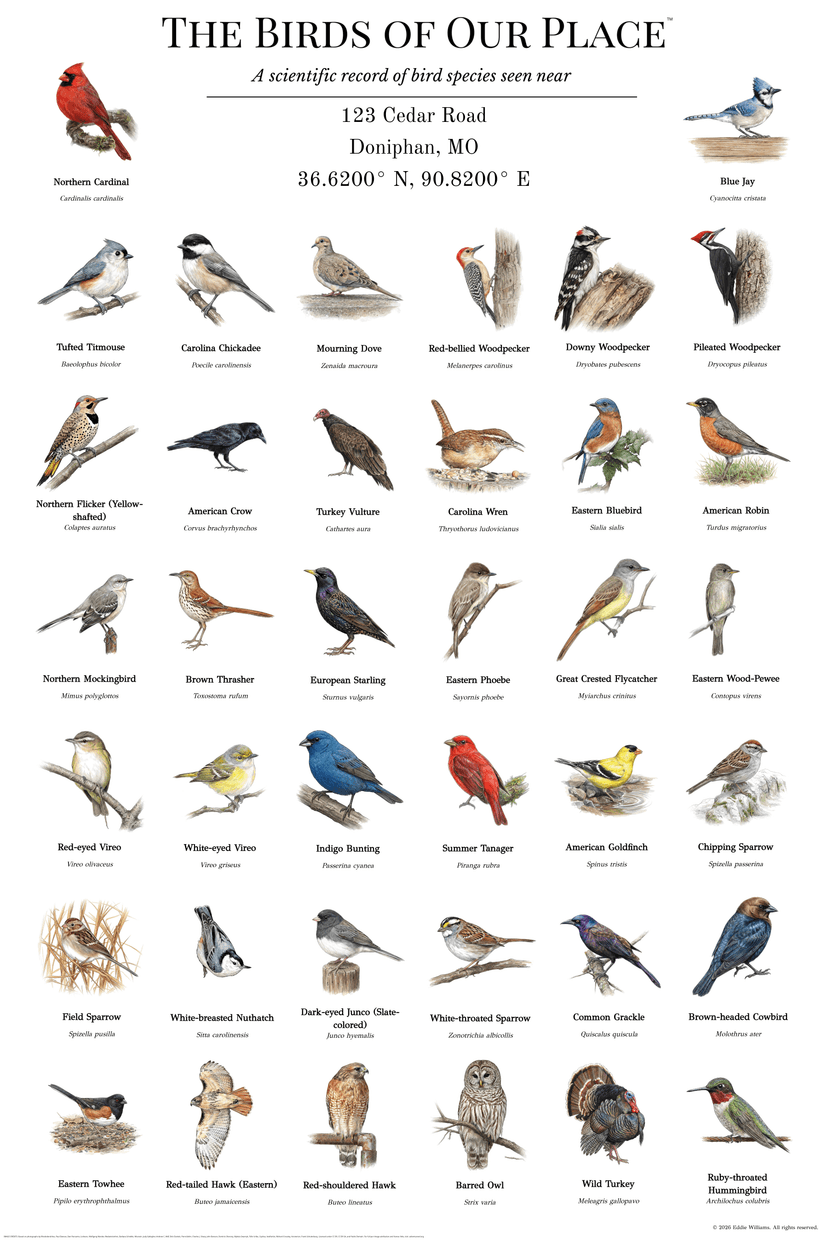 Doniphan Missouri bird poster