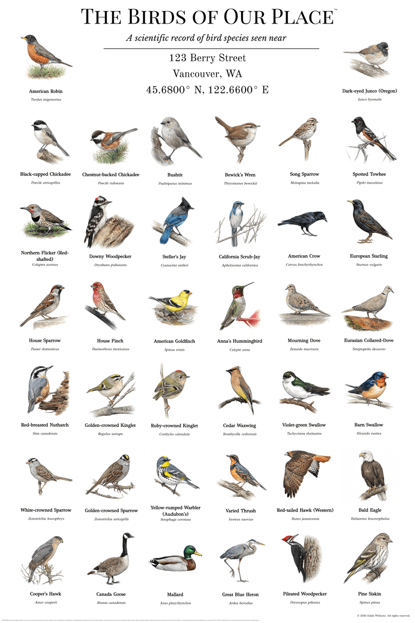 Vancouver Washington bird poster