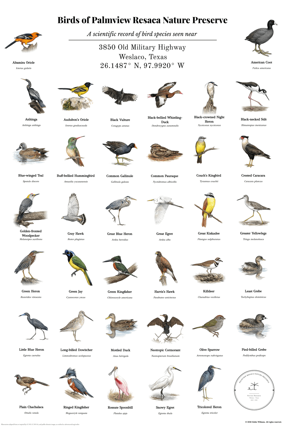 Birds of Palmview Resaca Nature Preserve — a custom 38-species bird print for a South Texas nature center